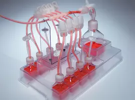 ppl biosimplex