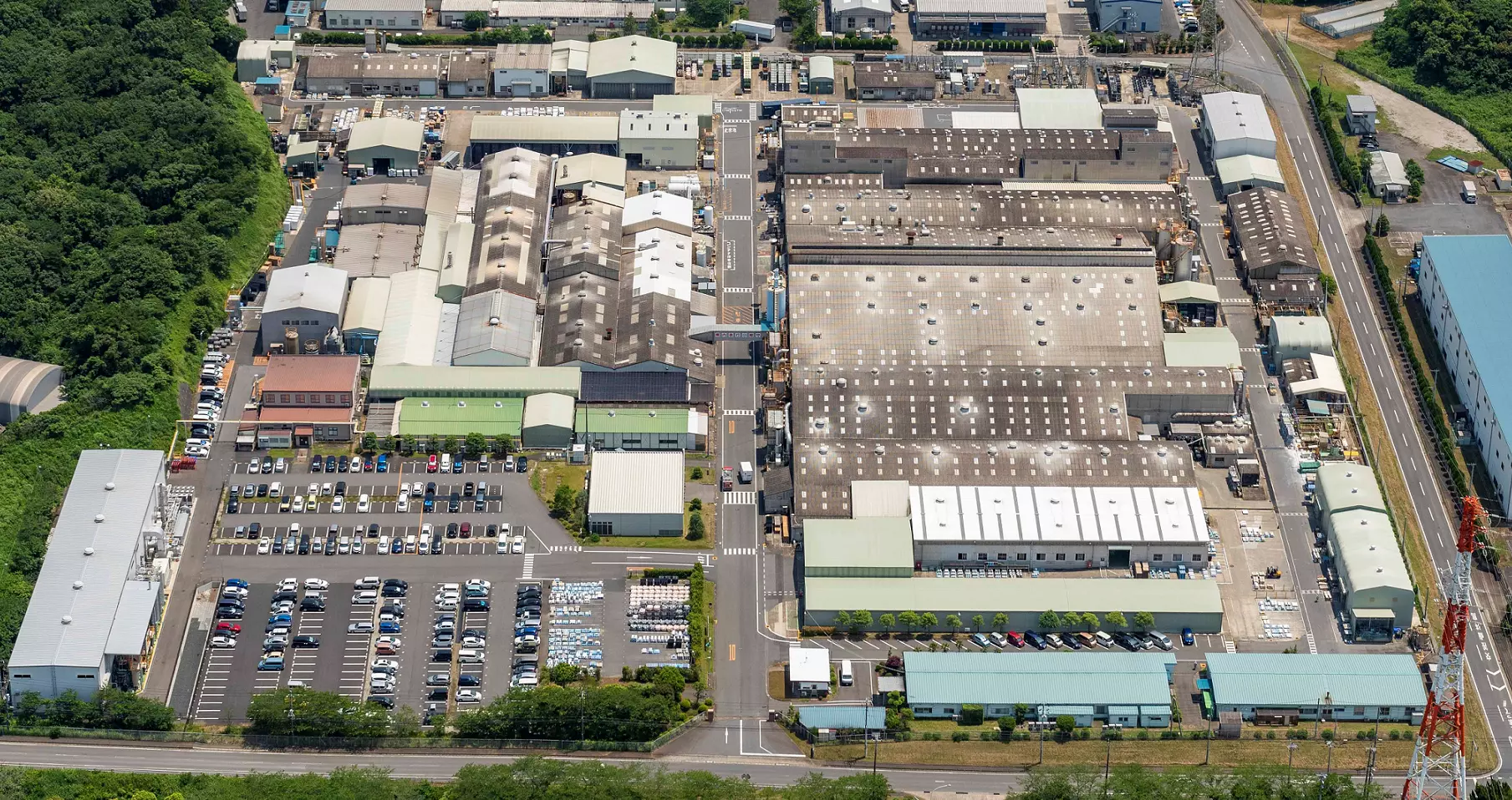 Kozaki plant