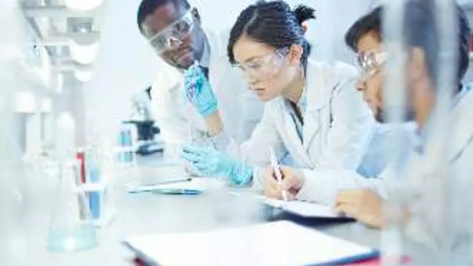 ppl market lab research