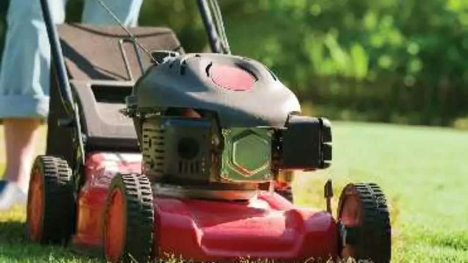 ppl market lawn-mower-small-engine
